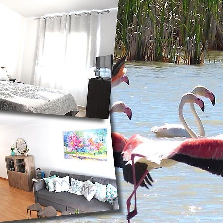 Duplex En Delta De L'Ebre Con Dos Terrazas Y Balcon Deltebre Exterior foto