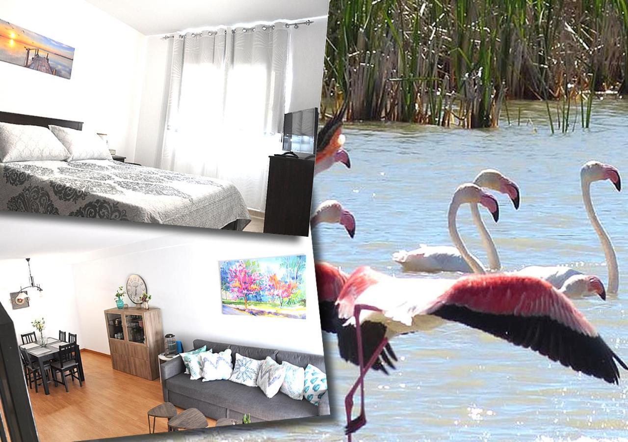Duplex En Delta De L'Ebre Con Dos Terrazas Y Balcon Deltebre Exterior foto